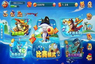 打鱼游戏怎么玩(图2) 打鱼游戏怎么玩(图2)