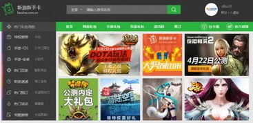 新浪游戏新手卡,畅享无限乐趣(图3)