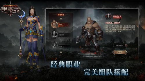 暗黑同类游戏,探寻黑暗世界的神秘力量(图2) 暗黑同类游戏,探寻黑暗世界的神秘力量(图2)