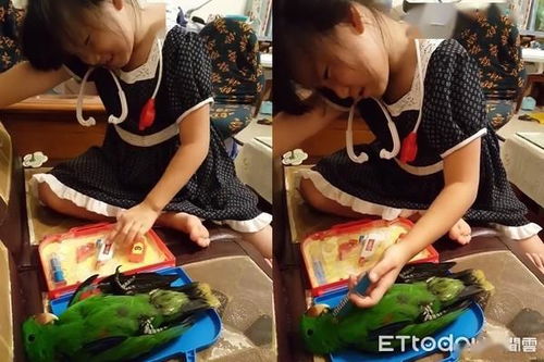 跟妹妹玩医生游戏,与妹妹共度欢乐的“医生游戏”时光(图3) 跟妹妹玩医生游戏,与妹妹共度欢乐的“医生游戏”时光(图3)