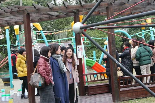 摆弄游戏,摆弄游戏带你领略无尽冒险之旅(图1) 摆弄游戏,摆弄游戏带你领略无尽冒险之旅(图1)