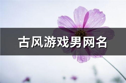 两个字的游戏网名男生,探寻游戏世界中的独特风采——揭秘两个字男生游戏网名的魅力(图1) 两个字的游戏网名男生,探寻游戏世界中的独特风采——揭秘两个字男生游戏网名的魅力(图1)