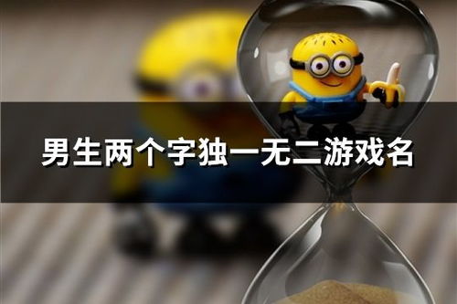 两个字的游戏网名男生,探寻游戏世界中的独特风采——揭秘两个字男生游戏网名的魅力(图3) 两个字的游戏网名男生,探寻游戏世界中的独特风采——揭秘两个字男生游戏网名的魅力(图3)
