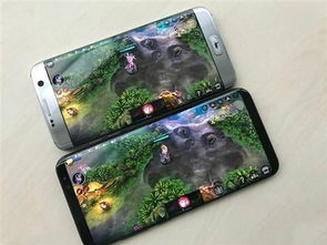三星s8玩什么游戏好,体验极致视觉盛宴(图3) 三星s8玩什么游戏好,体验极致视觉盛宴(图3)