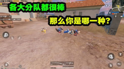 玩游戏分队伍的游戏,游戏分队的激情对决(图1)
