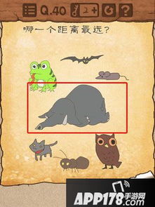 最囧游戏第一关怎么玩,开启欢乐之旅(图3) 最囧游戏第一关怎么玩,开启欢乐之旅(图3)