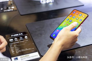 小桃的纠结安卓游戏 (图3)