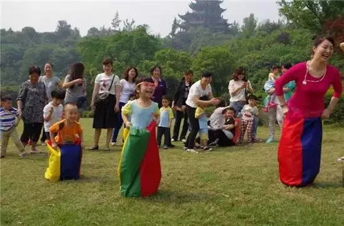 体育游戏平衡木游戏,体育游戏中的技巧与策略解析(图2) 体育游戏平衡木游戏,体育游戏中的技巧与策略解析(图2)