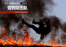 中华武警游戏,守护和平的钢铁长城(图3) 中华武警游戏,守护和平的钢铁长城(图3)