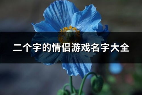 二个字的情侣游戏名字,探寻情侣游戏名字中的甜蜜密码(图1)
