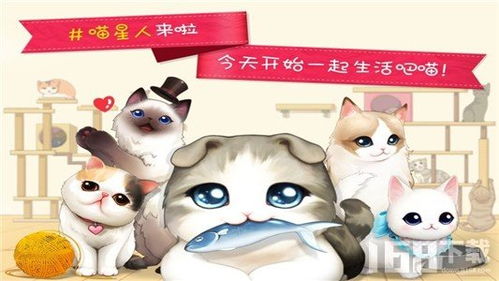 猫咪游戏小猫咪游戏,小猫咪游戏的欢乐冒险之旅(图2) 猫咪游戏小猫咪游戏,小猫咪游戏的欢乐冒险之旅(图2)