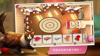 解压猫咪游戏手机安卓版下载v1.0.0 (图3) 解压猫咪游戏手机安卓版下载v1.0.0 (图3)