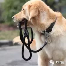 割绳子球球游戏中文版手机下载 (图3)