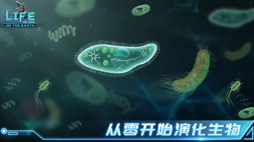 放置桌面游戏,探索创意与乐趣的无限可能(图3) 放置桌面游戏,探索创意与乐趣的无限可能(图3)