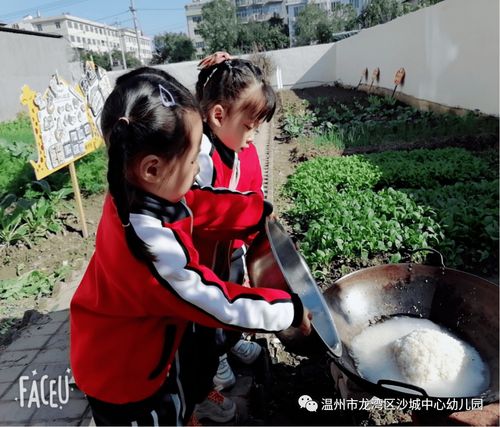 童年煮饭游戏,煮饭游戏中的温馨时光(图2) 童年煮饭游戏,煮饭游戏中的温馨时光(图2)