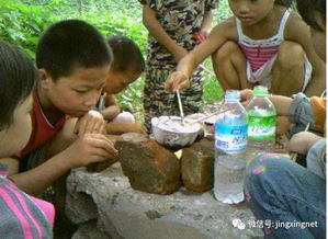 童年煮饭游戏,煮饭游戏中的温馨时光(图1) 童年煮饭游戏,煮饭游戏中的温馨时光(图1)