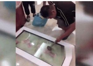 砸破玻璃游戏,挑战极限的解谜冒险之旅(图2) 砸破玻璃游戏,挑战极限的解谜冒险之旅(图2)