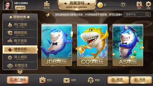 襄阳来游戏3d卡五星,指尖上的五星传奇(图2) 襄阳来游戏3d卡五星,指尖上的五星传奇(图2)