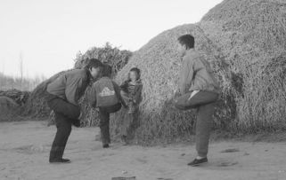 男孩斗鸡游戏,男孩间的热血较量与友谊升华(图2) 男孩斗鸡游戏,男孩间的热血较量与友谊升华(图2)