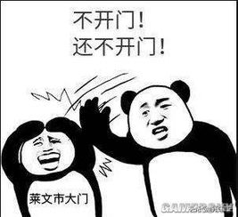 堵门游戏开门,挑战智慧与勇气(图2) 堵门游戏开门,挑战智慧与勇气(图2)