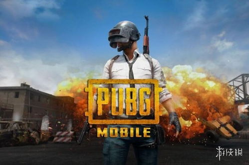 pubg比赛游戏,战火燃尽最后一刻(图2) pubg比赛游戏,战火燃尽最后一刻(图2)