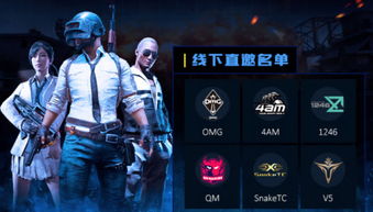 pubg比赛游戏,战火燃尽最后一刻(图3) pubg比赛游戏,战火燃尽最后一刻(图3)