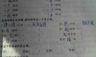 写近义词游戏,一场别开生面的词汇盛宴(图2) 写近义词游戏,一场别开生面的词汇盛宴(图2)