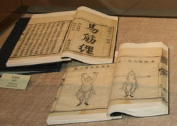 易筋经 游戏,探寻古老秘籍中的武侠世界(图3) 易筋经 游戏,探寻古老秘籍中的武侠世界(图3)