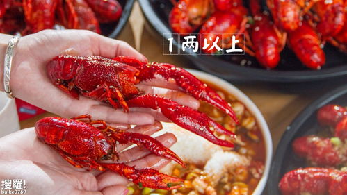 鸭龙虾游戏,趣味横生的海洋冒险之旅(图2) 鸭龙虾游戏,趣味横生的海洋冒险之旅(图2)