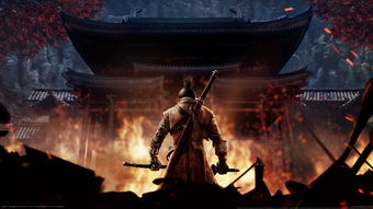 君之狼游戏,暗夜崛起的狼族传奇(图3) 君之狼游戏,暗夜崛起的狼族传奇(图3)