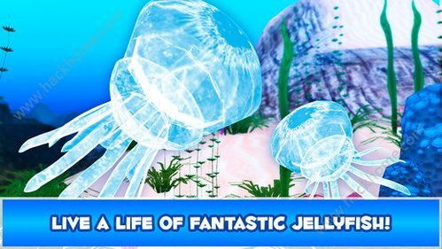 水母美术游戏,探索海洋生物的奇幻世界(图3) 水母美术游戏,探索海洋生物的奇幻世界(图3)