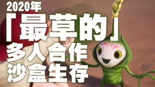 空穴游戏,探索未知世界的神秘之旅(图2) 空穴游戏,探索未知世界的神秘之旅(图2)