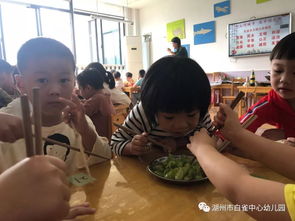 卷心菜游戏小班,小班萌娃的欢乐冒险之旅(图2) 卷心菜游戏小班,小班萌娃的欢乐冒险之旅(图2)