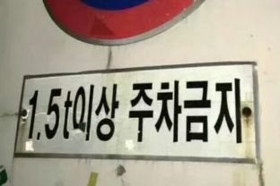好听的游戏网名2个字,畅游游戏世界——探寻好听网名背后的故事(图3) 好听的游戏网名2个字,畅游游戏世界——探寻好听网名背后的故事(图3)