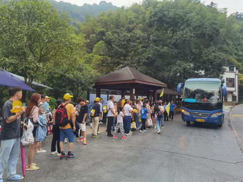 郴州打游戏,游戏文化新地标(图3) 郴州打游戏,游戏文化新地标(图3)