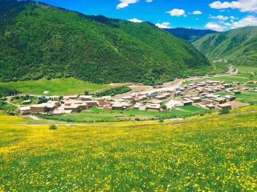 阿坝和游戏,游戏世界里的奇幻之旅(图1) 阿坝和游戏,游戏世界里的奇幻之旅(图1)