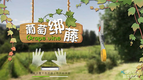 农业互动游戏,培养现代农业意识(图1) 农业互动游戏,培养现代农业意识(图1)