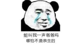 猪哥游戏名,趣味横生的欢乐之旅(图1) 猪哥游戏名,趣味横生的欢乐之旅(图1)