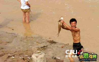 捡鱼游戏,收获快乐(图3) 捡鱼游戏,收获快乐(图3)
