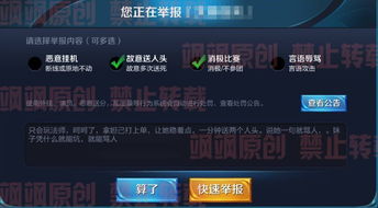 这样举报游戏,玩家权益如何守护?(图2) 这样举报游戏,玩家权益如何守护?(图2)