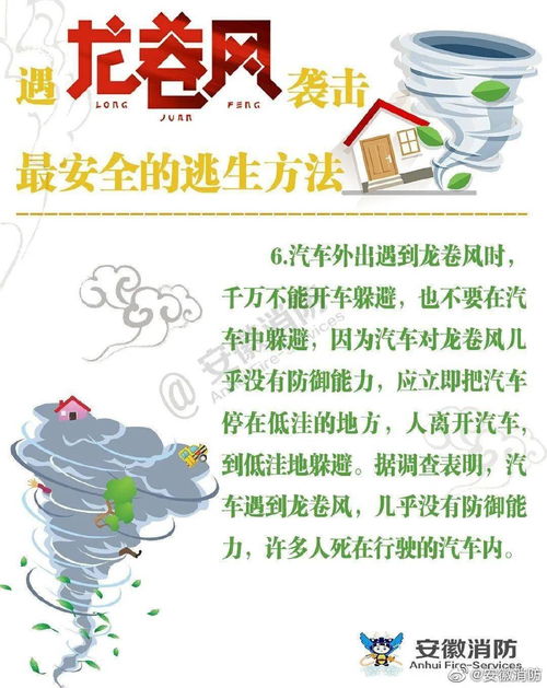 风雨同舟9人游戏踩报纸,9人游戏踩报纸的团队协作挑战(图2) 风雨同舟9人游戏踩报纸,9人游戏踩报纸的团队协作挑战(图2)