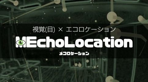 听回声游戏,揭秘声音的神秘之旅(图1)