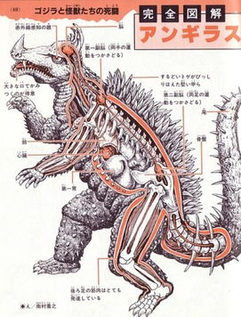 真实解剖游戏,真实解剖游戏深度解析(图3) 真实解剖游戏,真实解剖游戏深度解析(图3)