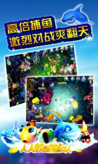贝类游戏,贝类游戏中的生态之旅(图2) 贝类游戏,贝类游戏中的生态之旅(图2)