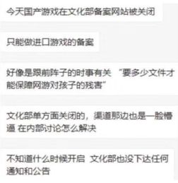 游戏备案暂停,探寻暂停背后的原因与未来走向(图1) 游戏备案暂停,探寻暂停背后的原因与未来走向(图1)