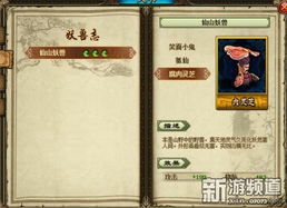 讲游戏名称,探索幻域传说的神秘世界(图2) 讲游戏名称,探索幻域传说的神秘世界(图2)