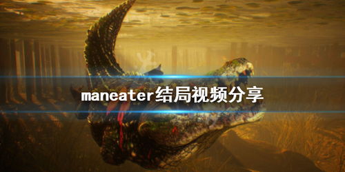 视频游戏结局,揭秘命运交织的结局之谜(图1) 视频游戏结局,揭秘命运交织的结局之谜(图1)