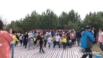 野餐户外游戏,欢乐户外游戏全攻略(图1) 野餐户外游戏,欢乐户外游戏全攻略(图1)