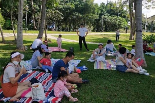 野餐户外游戏,欢乐户外游戏全攻略(图3) 野餐户外游戏,欢乐户外游戏全攻略(图3)