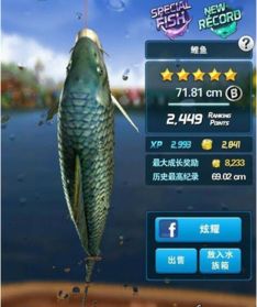 蓝鲤鱼游戏,探索奇幻海洋的冒险之旅(图1) 蓝鲤鱼游戏,探索奇幻海洋的冒险之旅(图1)